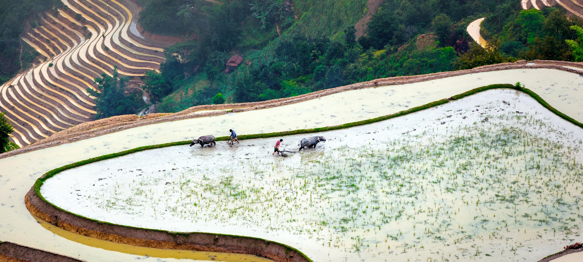 Photos from our Vietnam N.E Cycling Holiday